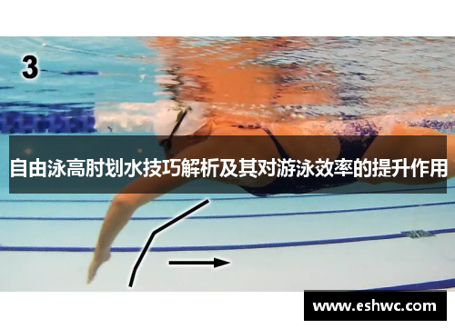 自由泳高肘划水技巧解析及其对游泳效率的提升作用